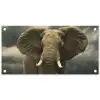 Afrikaanse olifant tegen de donkere wolken tuinposter los doek klein -3d