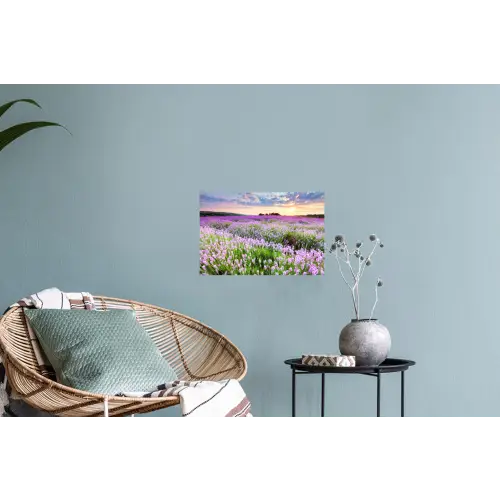 Lavendel - Bloemen - Zonsondergang - Paars - Weide Muursticker klein -plant