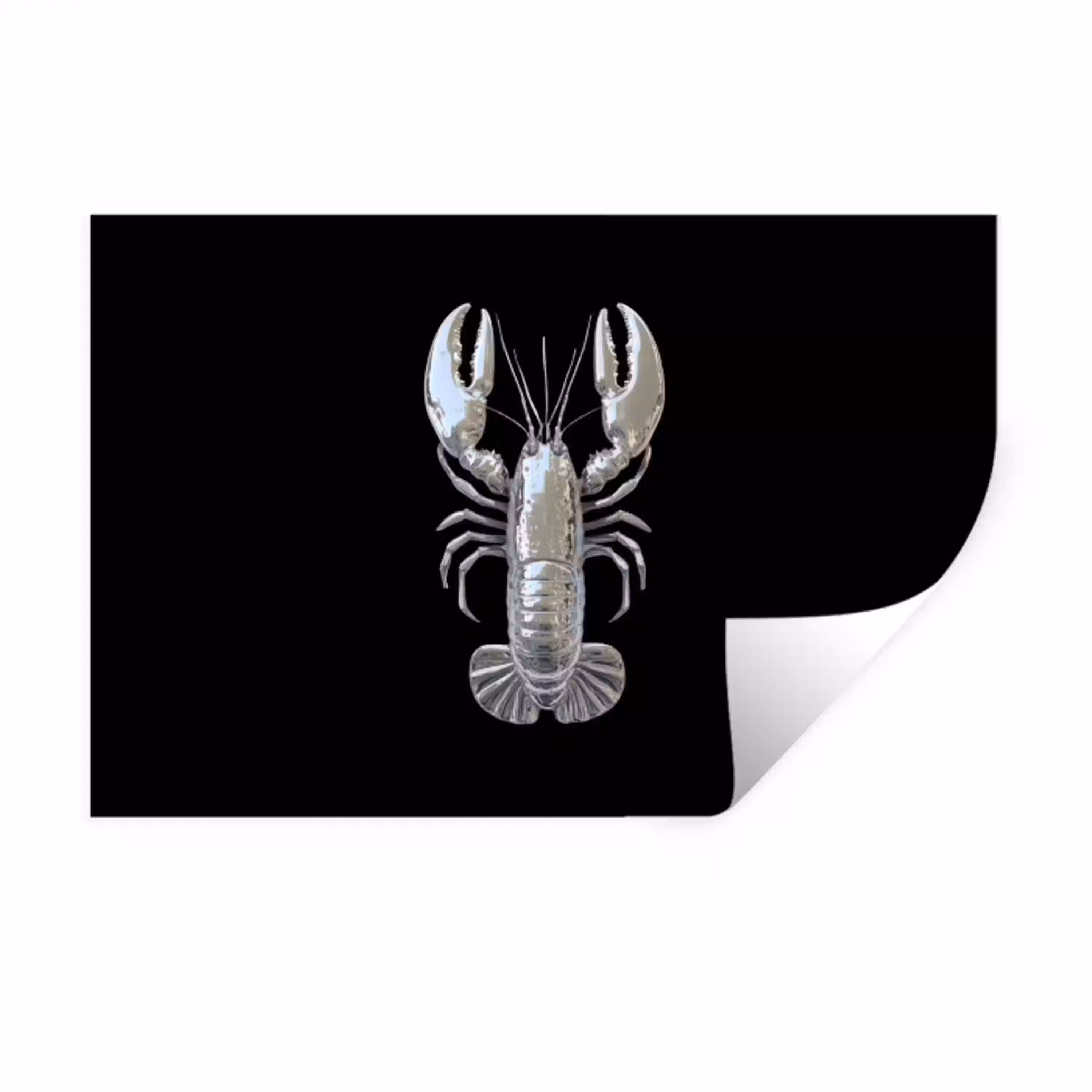 Kreeft - Zilver - Metallic - Luxe Muursticker klein -3d