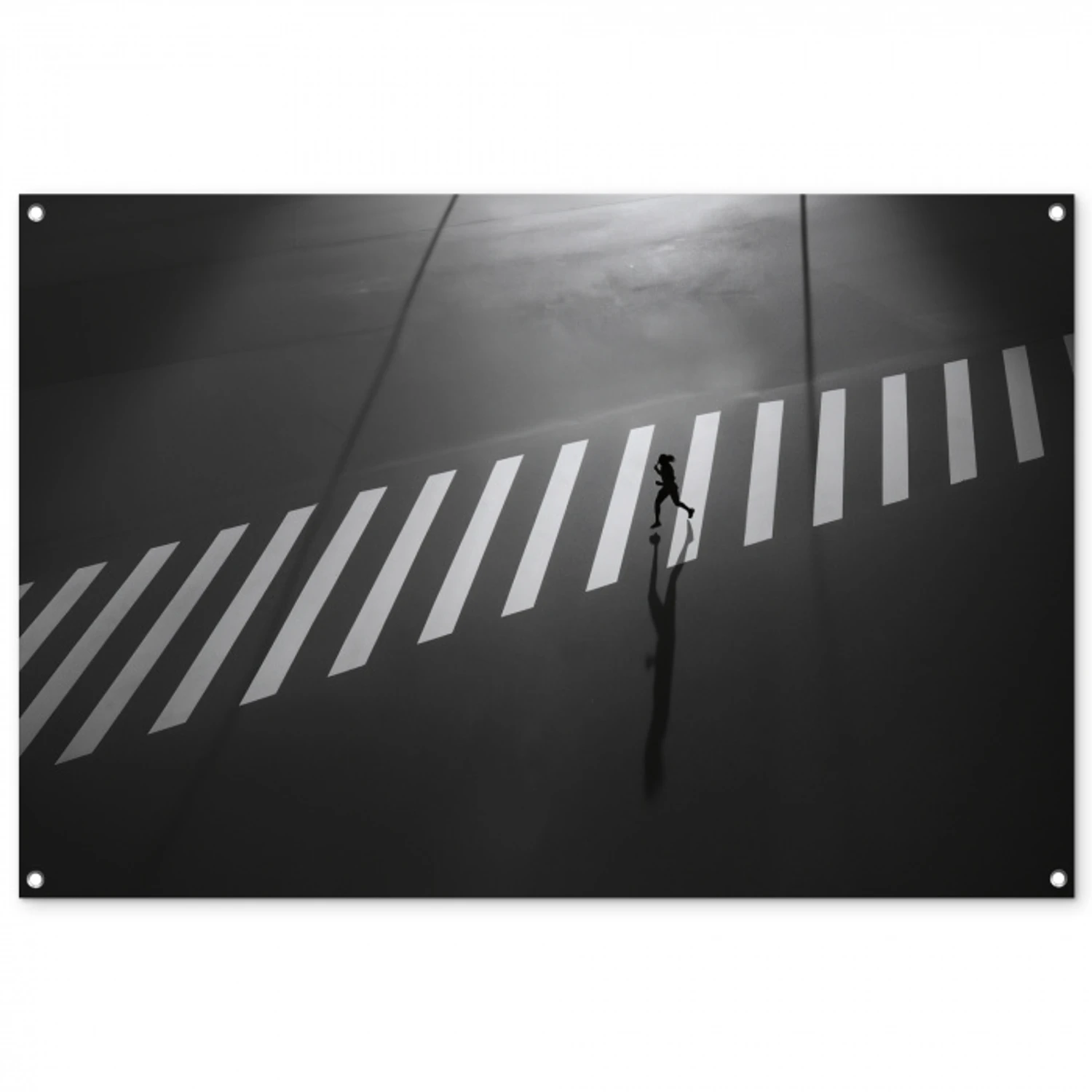 Zeebrapad - Hardloper - Zwart - Wit tuinposter los doek groot -3d