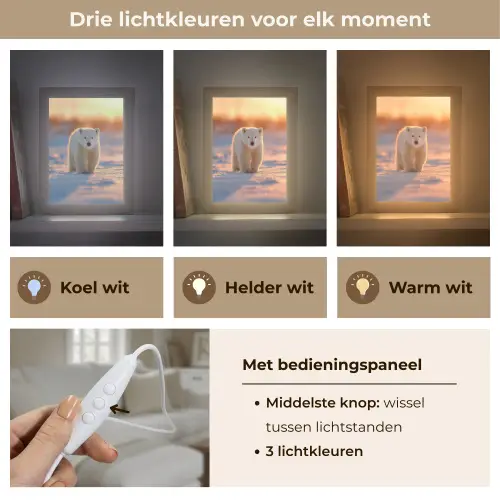 Ijsbeer - Sneeuw - Zonsopgang Light Box met kabel (Tafellamp) klein -USP_lichtkleurNL