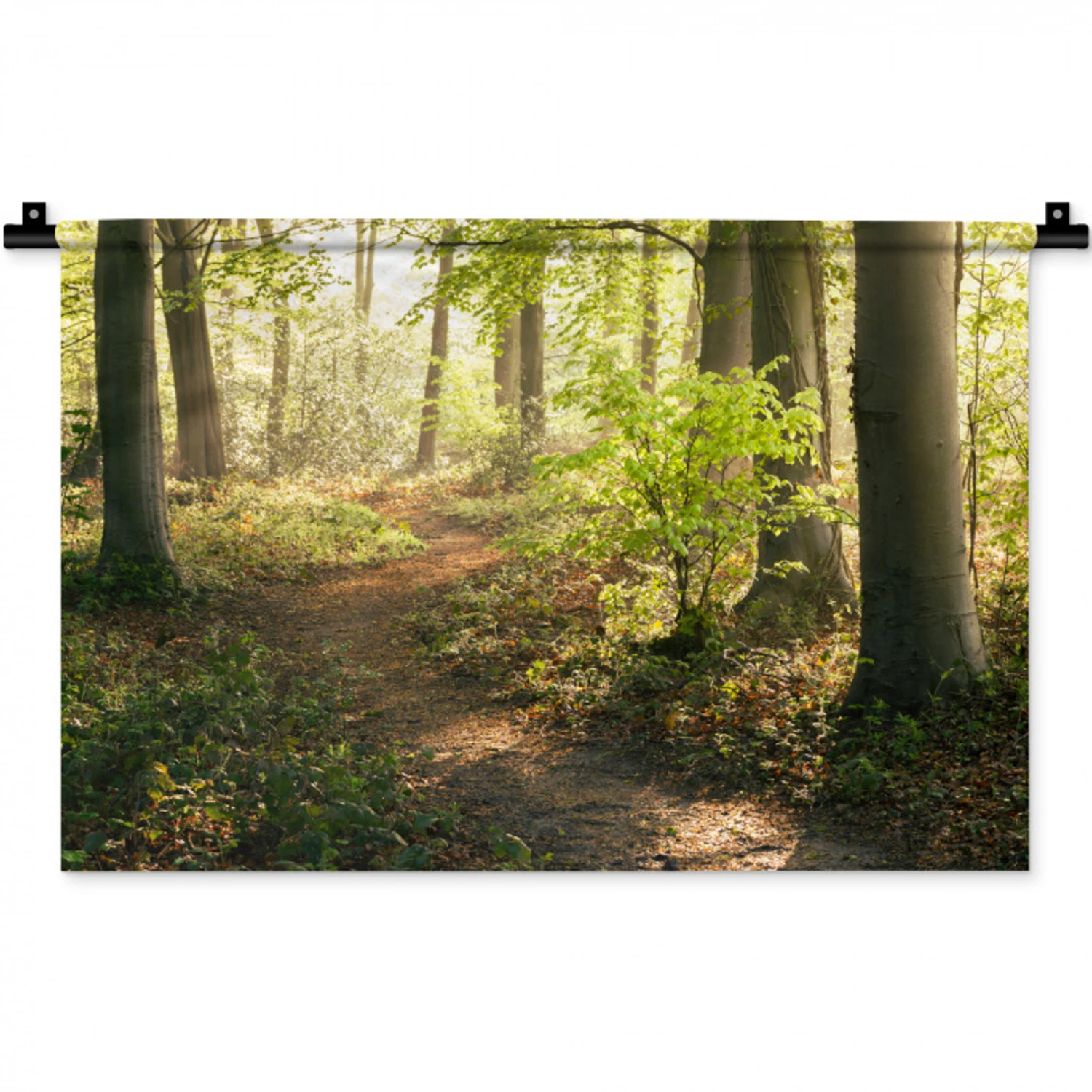 Bos - Bomen - Pad - Zon - Planten - Bladeren - Natuur Wandkleed katoen klein -zz3d