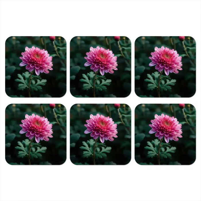 Blad - Chrysant - Roze - Schaduw onderzetter kurk middel -3d