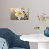 Narcis - Bloem - Minimalistisch poster papier klein -sfeer3