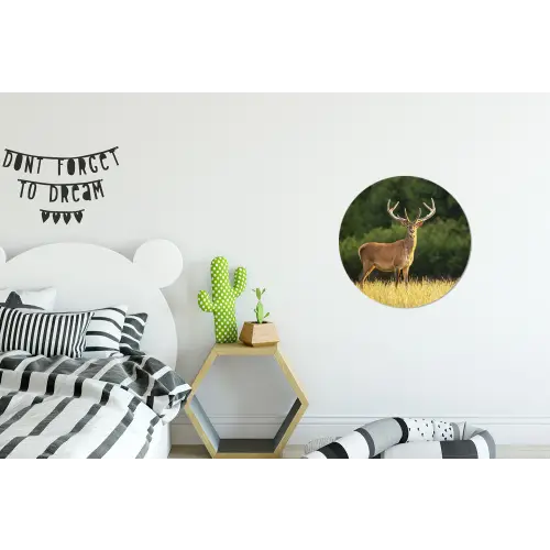 Hert - Gewei - Gras - Natuur - Dieren - Groen Wandcirkel aluminium klein -kinderkamer