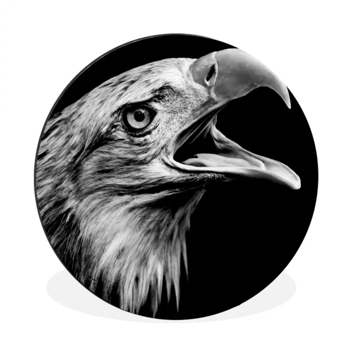 Adelaar - Portret - Roofvogels - Zwart - Wit - Vogel Wandcirkel aluminium klein -3d