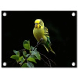Parkiet - Tak - Bladeren - Geel tuinposter los doek klein -3d