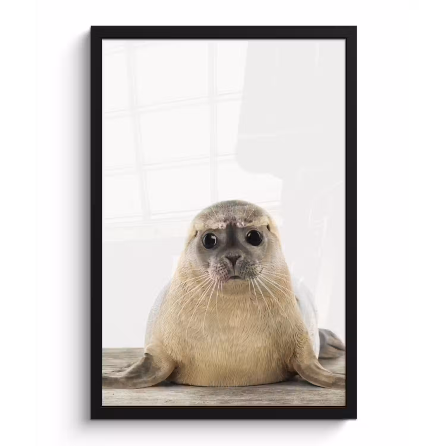 Poster met lijst - Zeehond - Dieren - Kind - Jongens - Meisjes - Kinderen