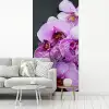 Orchidee - Bloemen - Roze - Flora fotobehang vinyl groot -woonkamer