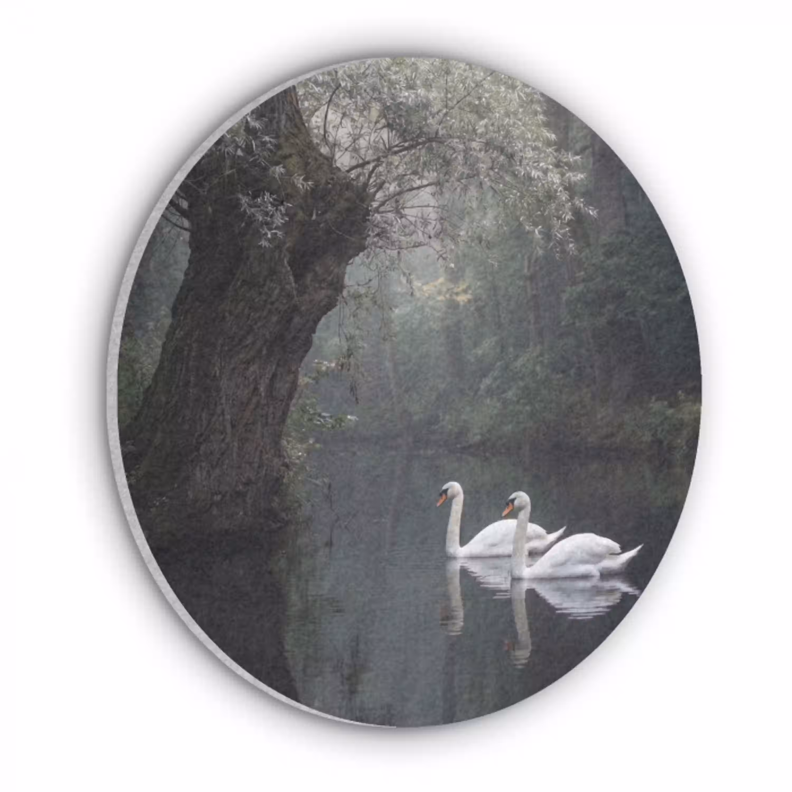 Zwanen - Rivier - Bos Akoestische PET Vilt - Rond klein -3d