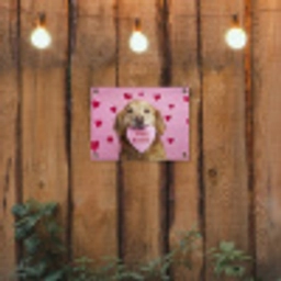 Hond - Kiss- Valentijn - Hartjes tuinposter los doek klein -sfeer1