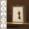 Pinda - Ruw - Beige Light Box met kabel (Tafellamp) klein -USP_NL