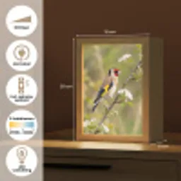 Putter - Bloesem - Lente - Natuur - Kleurrijk Light Box met kabel (Kinderlampje) klein -USP_NL