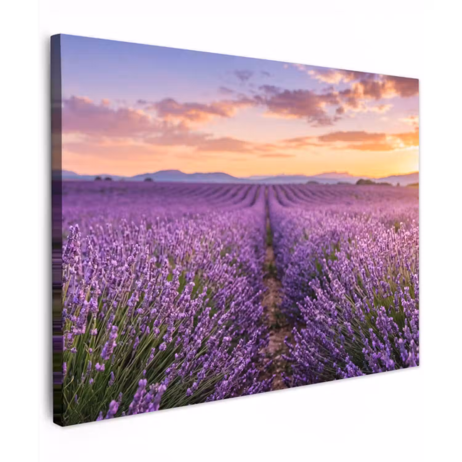 Canvas Print - Lavender - Field - Nature - Purple
