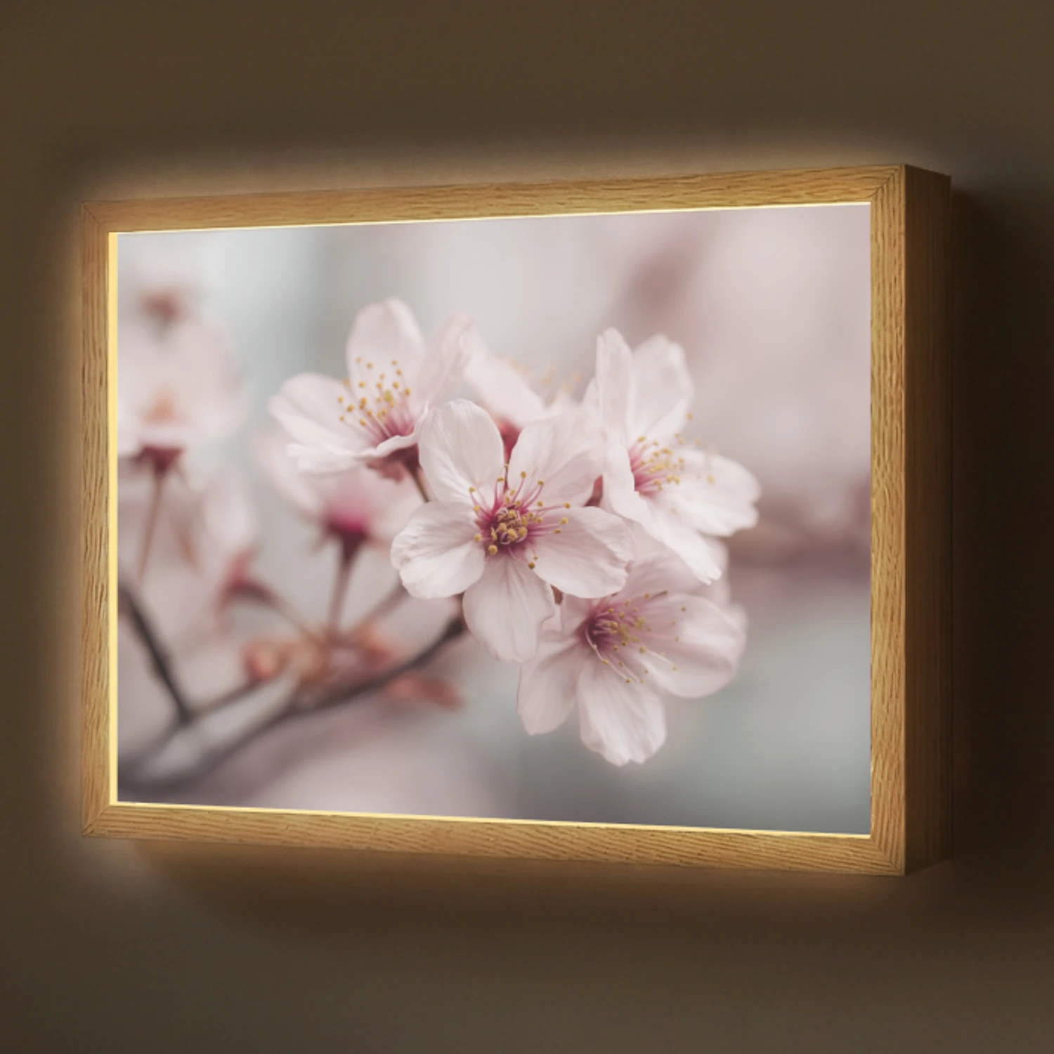 Bloesems - Meeldraden - Geel - Wazig Light Box met batterij (Wandlamp) middel -z3d_website