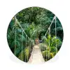 Jungle - Palmboom - Brug - Natuur - Planten Wandcirkel aluminium klein -3d