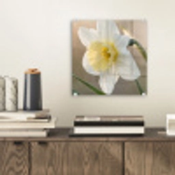 Narcis - Bloem - Minimalistisch plexiglas 5mm klein -sfeer1