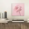 Bloem - Pioenroos - Roze aluminium wit klein -sfeer1