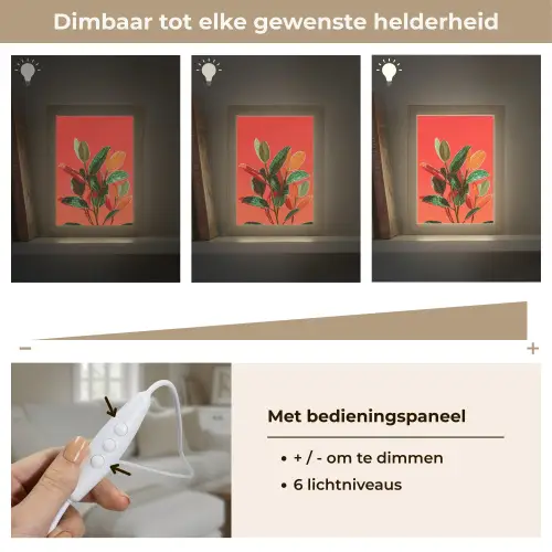 Bladeren - Nerven - Oranje - Structuur Light Box met kabel (Tafellamp) klein -USP_dimbaarNL
