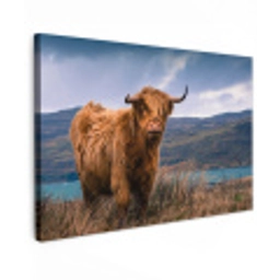 Schotse Hooglander - Berg - Water - Natuur - Koe Tuinposter op houten frame 2 cm dik klein -3d