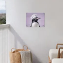 Pinguïn - Koksmuts - Lief - Paars tuinposter los doek klein -sfeer8