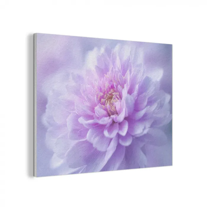 Paars - Dahlia - Dromerig PET vilt klein -3d
