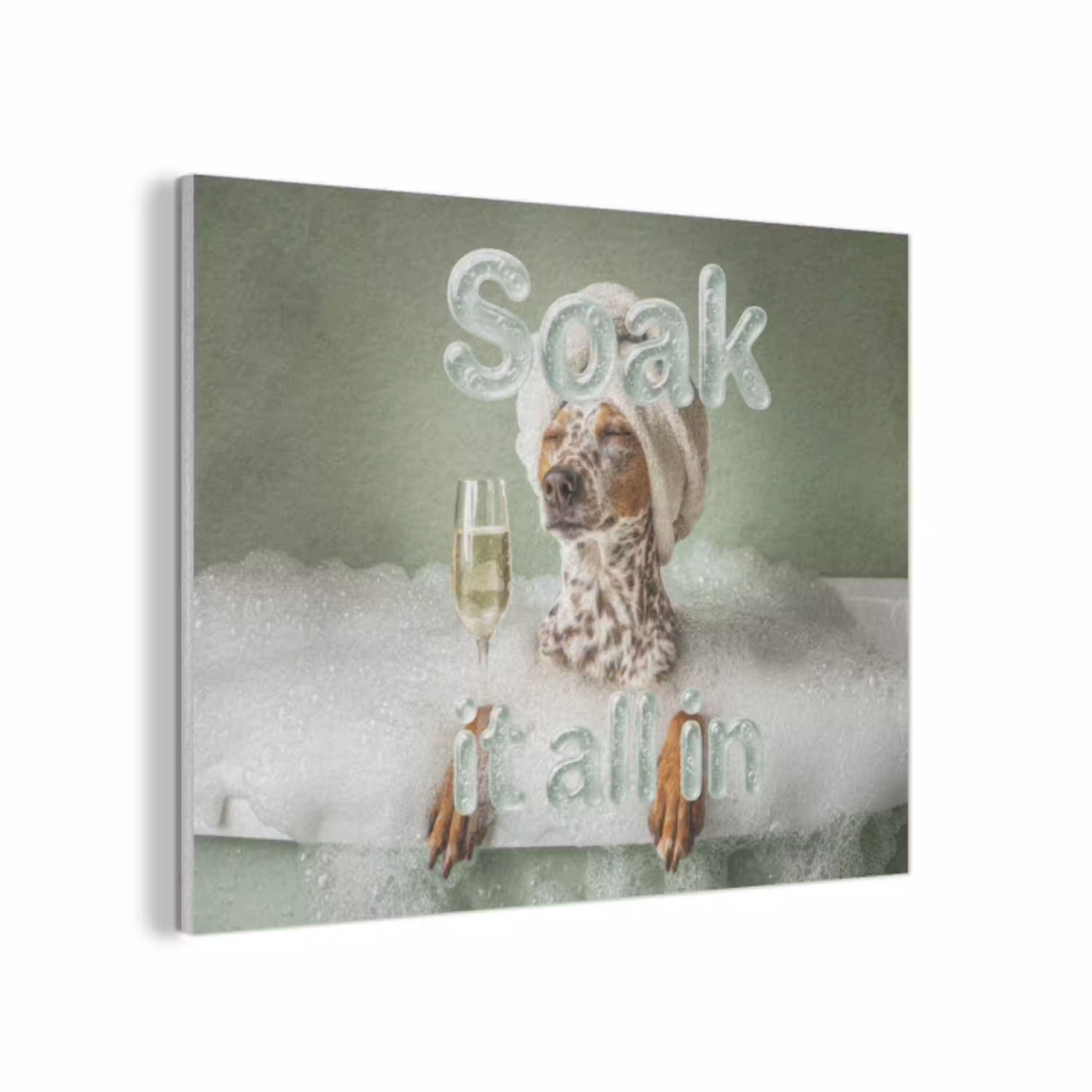 Soak it all in - Hond - Bad PET vilt klein -3d