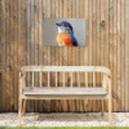 Kleurrijk - Vogeltje - Veren - Blauw Tuinposter op houten frame 2 cm dik klein -sfeer4