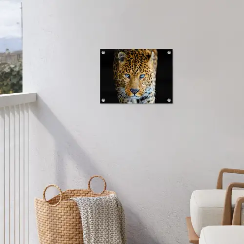 Luipaard - Dieren - Portret - Wilde dieren - Zwart tuinposter los doek klein -sfeer8