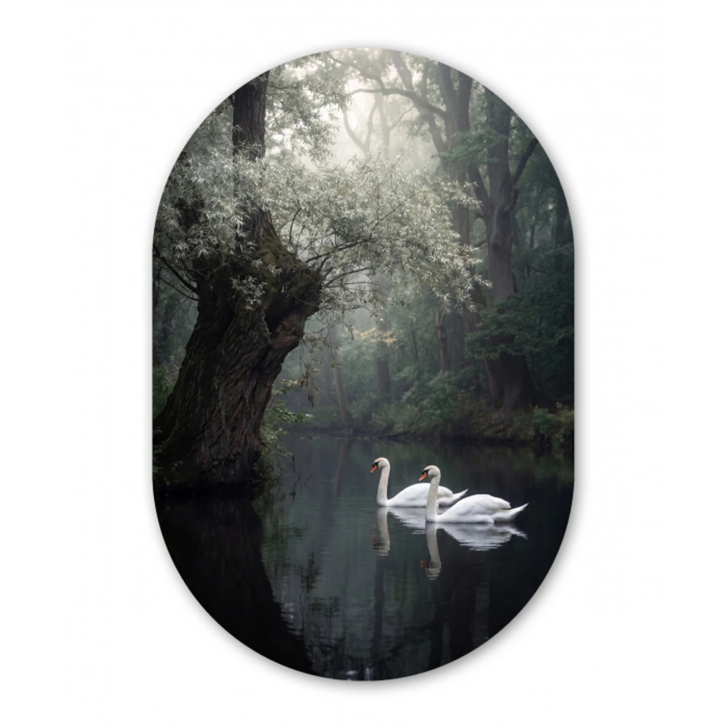 Zwanen - Rivier - Bos Wandcirkel Ovaal Aluminium middel -3d