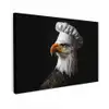 Arend -Amerika - Koksmuts - Vogel - Stoer canvas 2cm klein -z3d