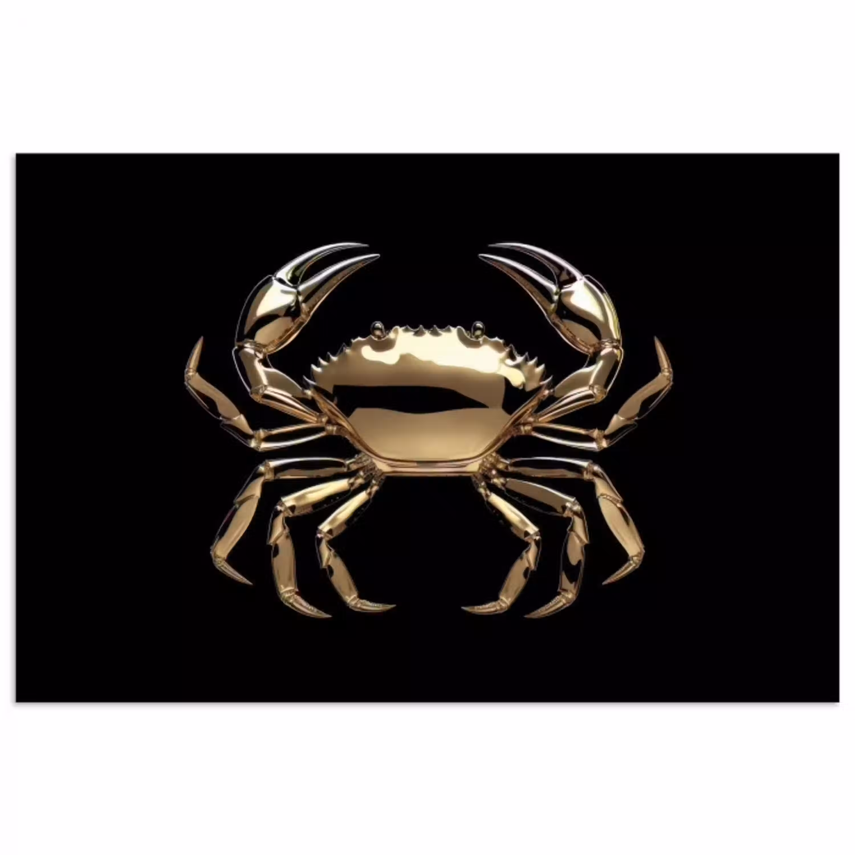 Goud - Krab - Dieren - Zwart poster papier klein -3d