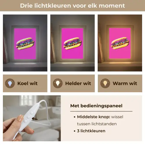 Hotdog - Roze - Retro Light Box met kabel (Tafellamp) klein -USP_lichtkleurNL