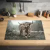 Schotse Hooglander - Bos - Mist - Koe - Dieren - Natuur Inductie beschermer vinyl 3mm klein -sfeer5