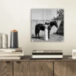 Vrouw - Paard - Artistiek plexiglas 5mm klein -sfeer1