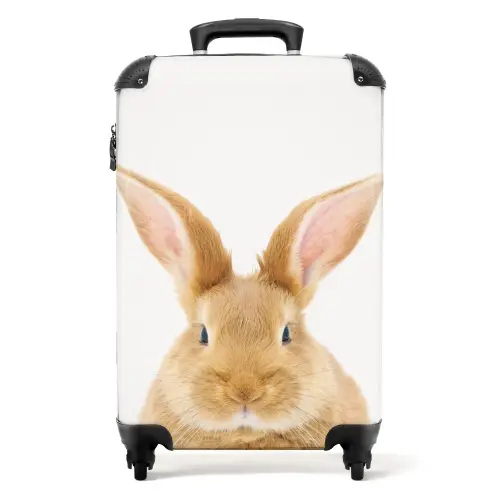 Snuffels met Tevreden Hoofd NBS - Handbagage koffer - Unisex middel -productfoto_recht