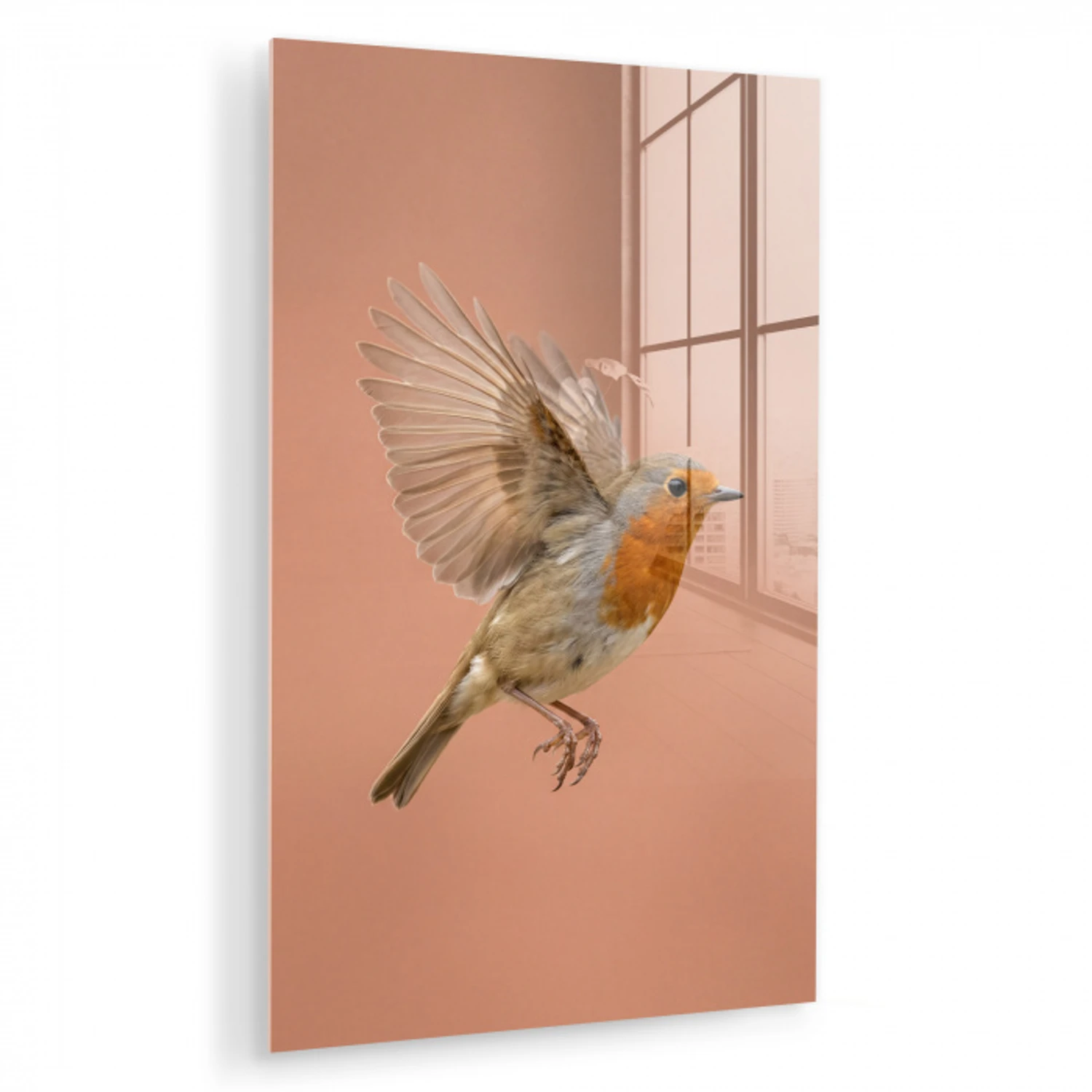 Roodborst - Natuur - Roze plexiglas 5mm klein -zzzproduct_nieuw