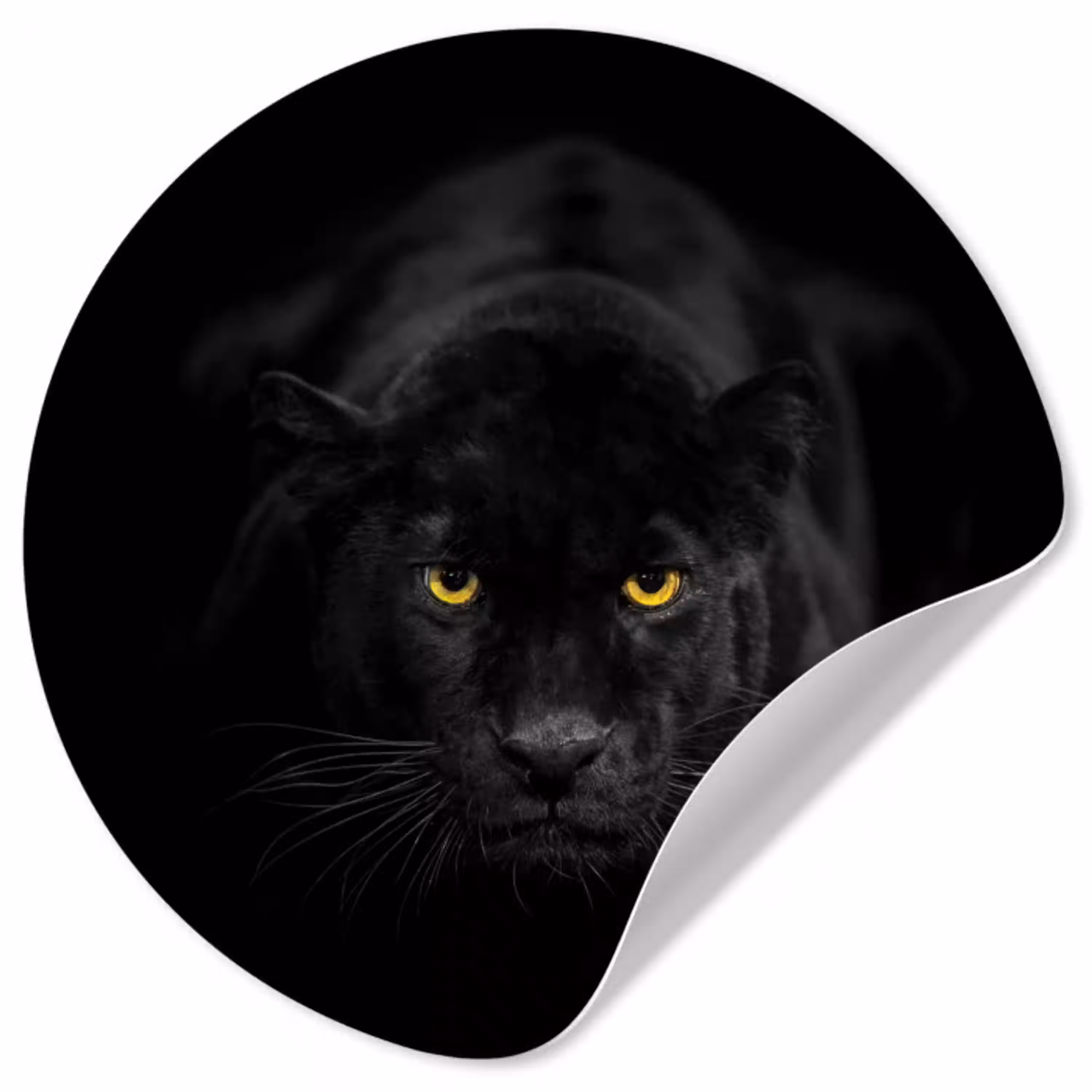 Panter - Dieren - Zwart - Ogen Wandcirkel behangsticker klein -3d
