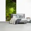 Jungle - Groen - Natuur - Tropisch - Planten fotobehang vinyl groot -slaapkamer