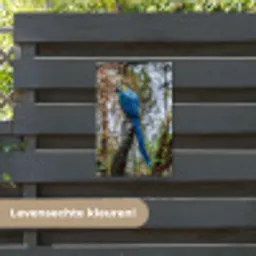 Vogel - Papegaai - Blauw tuinposter los doek klein -sfeer3