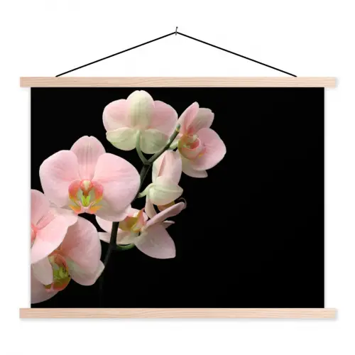 Orchidee - Bloemen - Roze - Stilleven - Flora textielposter latten blank klein -3d