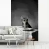 Bengaal - Kat - Tafelkleed - Zwart - Wit - Dier fotobehang vinyl groot -woonkamer