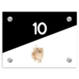 Zwart wit - Huisdier - Pomeranian Naambord Rechthoek middel -3d