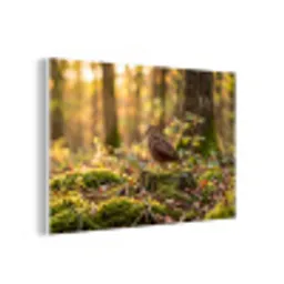 Houtsnip - Bos - Bladeren - Herfst - Gecamoufleerd forex 5mm xxl -3d