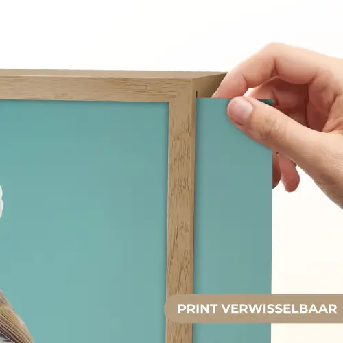 Roodborstje - Vogel - Koksmuts - Sokkel Light Box met batterij (Wandlamp) middel -USP_websiteprintNL