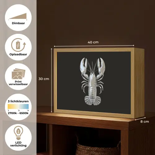 Kreeft - Zilver - Metallic - Luxe Light Box met batterij (Wandlamp) middel -USP_websiteoverzichtNL