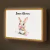 Konijn - Roze - Bellen Light Box met batterij (Wandlamp kind) middel -z3d_website