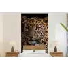 Wilde dieren - Panter - Portret - Zwart - Dieren fotobehang vinyl groot -bed