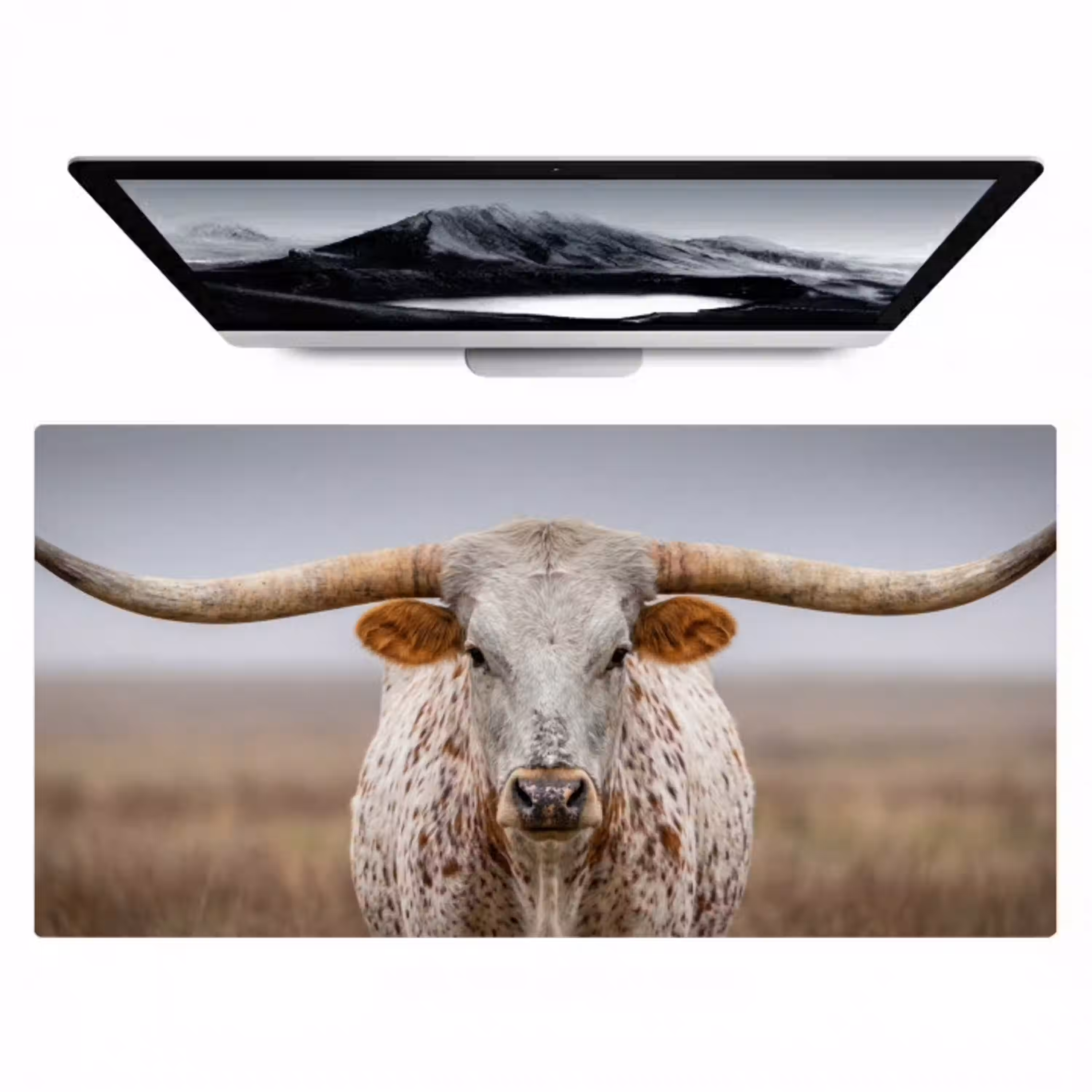 Longhorn - Grasveld - Dier Muismat XXL klein -zzz3d