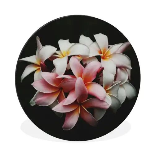 Bloemen - Roze - Zwart - Flora - Botanisch Wandcirkel aluminium klein -3d
